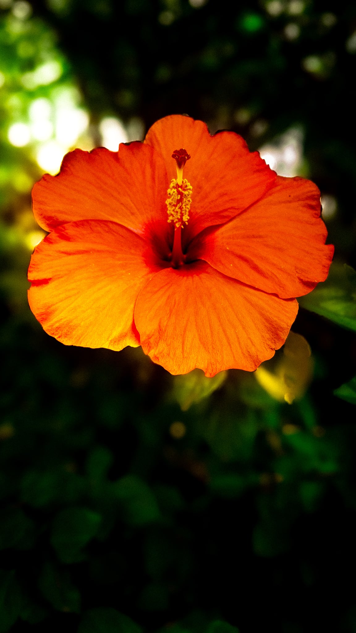 Photography 2