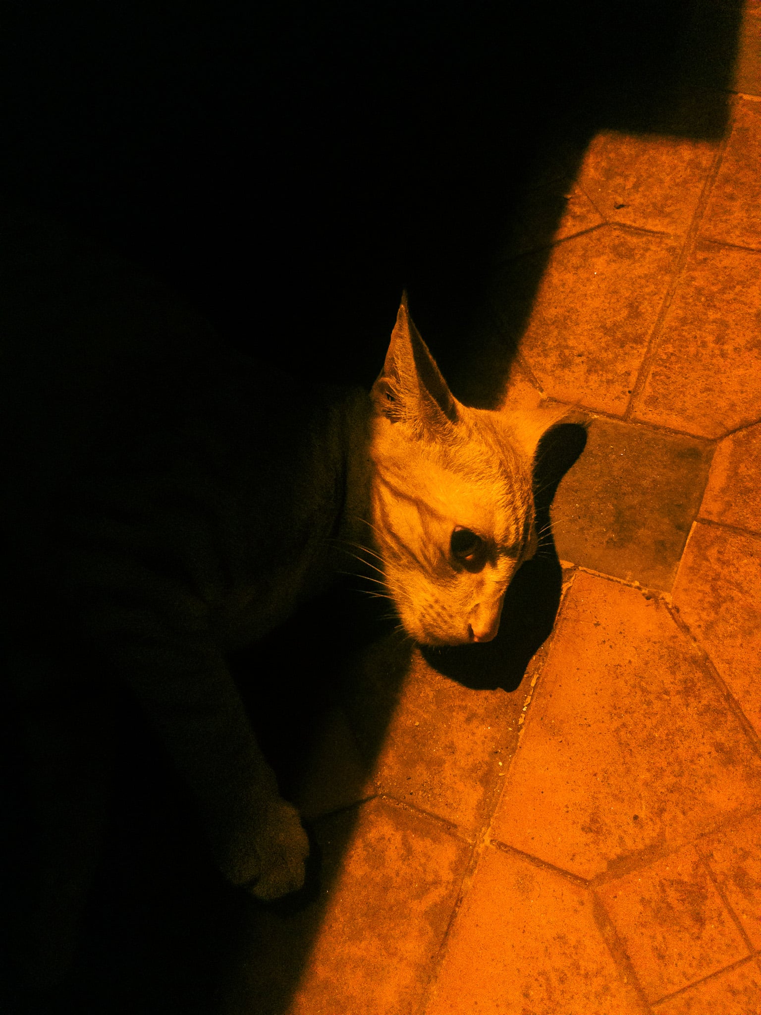 Photography 13
