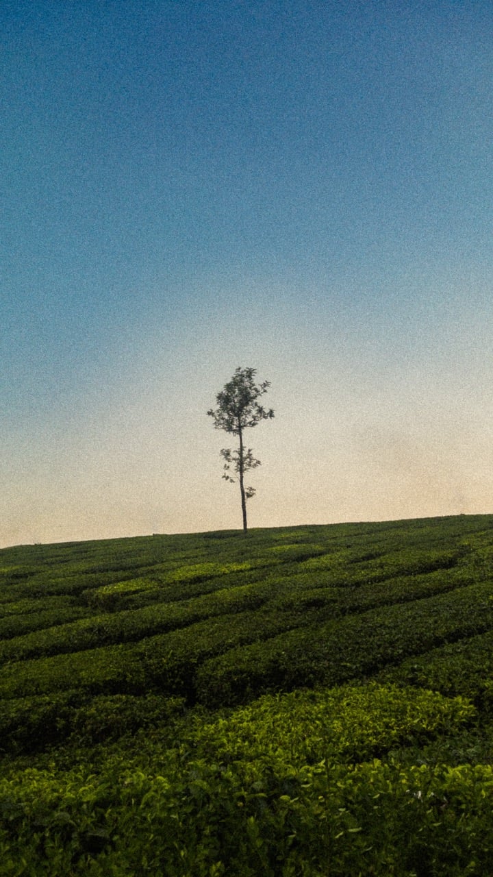 Photography 18